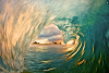 Chasing Waves By Kenji Croman.'