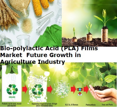 Bio-polylactic Acid (PLA) Films Market - Future Growth Prosp