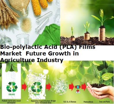 Bio-polylactic Acid (PLA) Films Market - Future Growth Prosp'