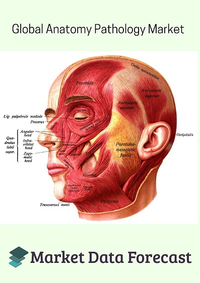 Anatomic Pathology Market'