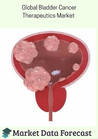 Bladder Cancer Therapeutics Market