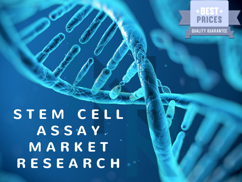 Stem Cell Assay Market