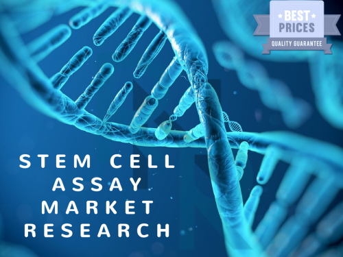 Stem Cell Assay Market'