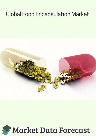Global Food Encapsulation Market