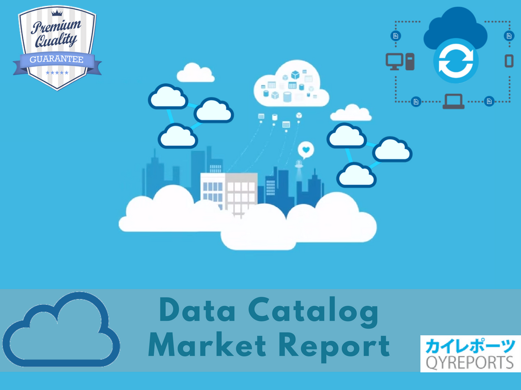 Data Catalog Market