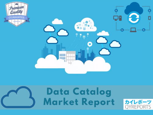 Data Catalog Market'