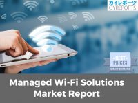 Managed Wi-Fi Solutions market