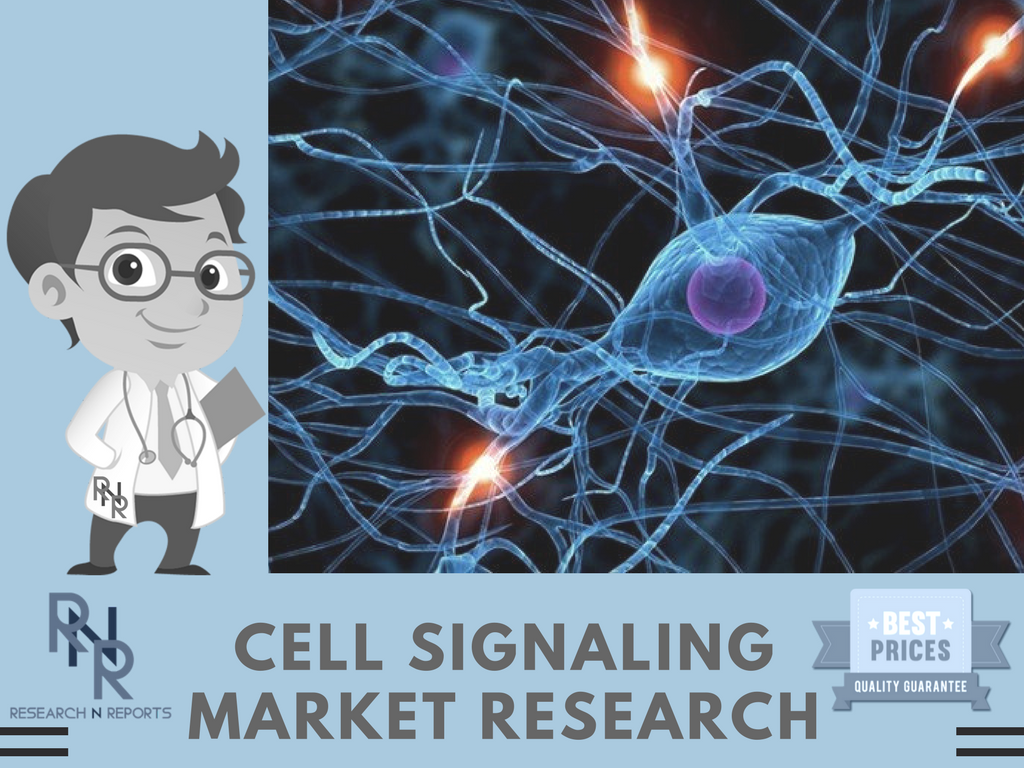 New Research on Cell Signaling Market with Top Players, Pin-'