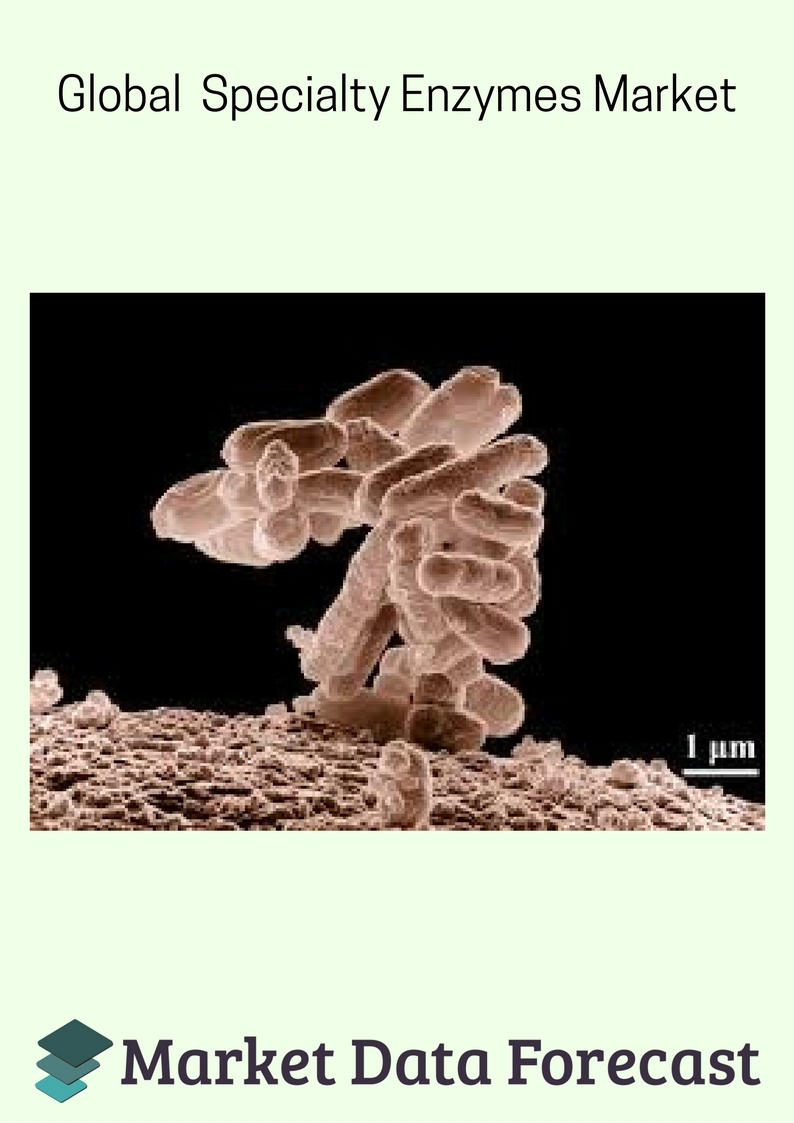 Global Specialty Enzymes Market