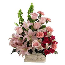 Best Florist in kanpur'