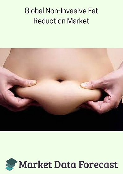 Non-Invasive Fat Reduction Market