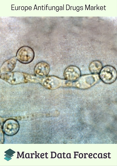 Europe Antifungal Drugs Market
