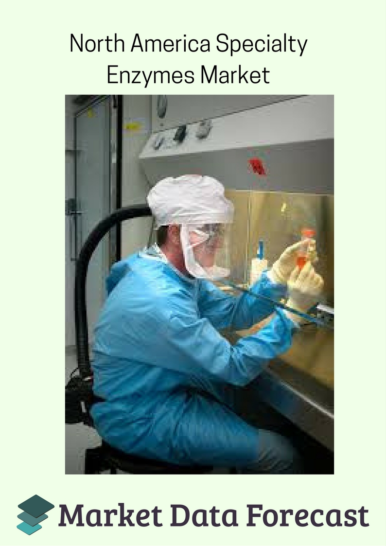 North America Specialty Enzymes Market'