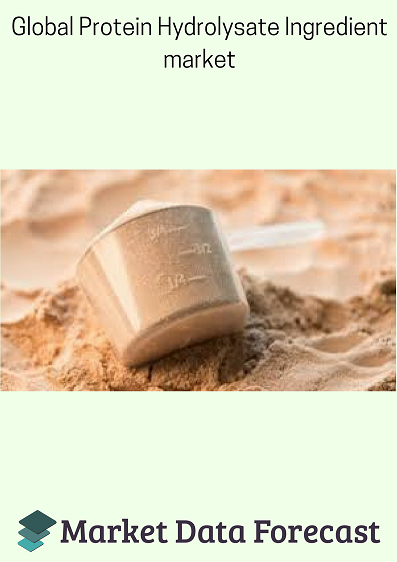 Protein Hydrolysate Ingredient Market