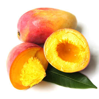 African Mango Plus'