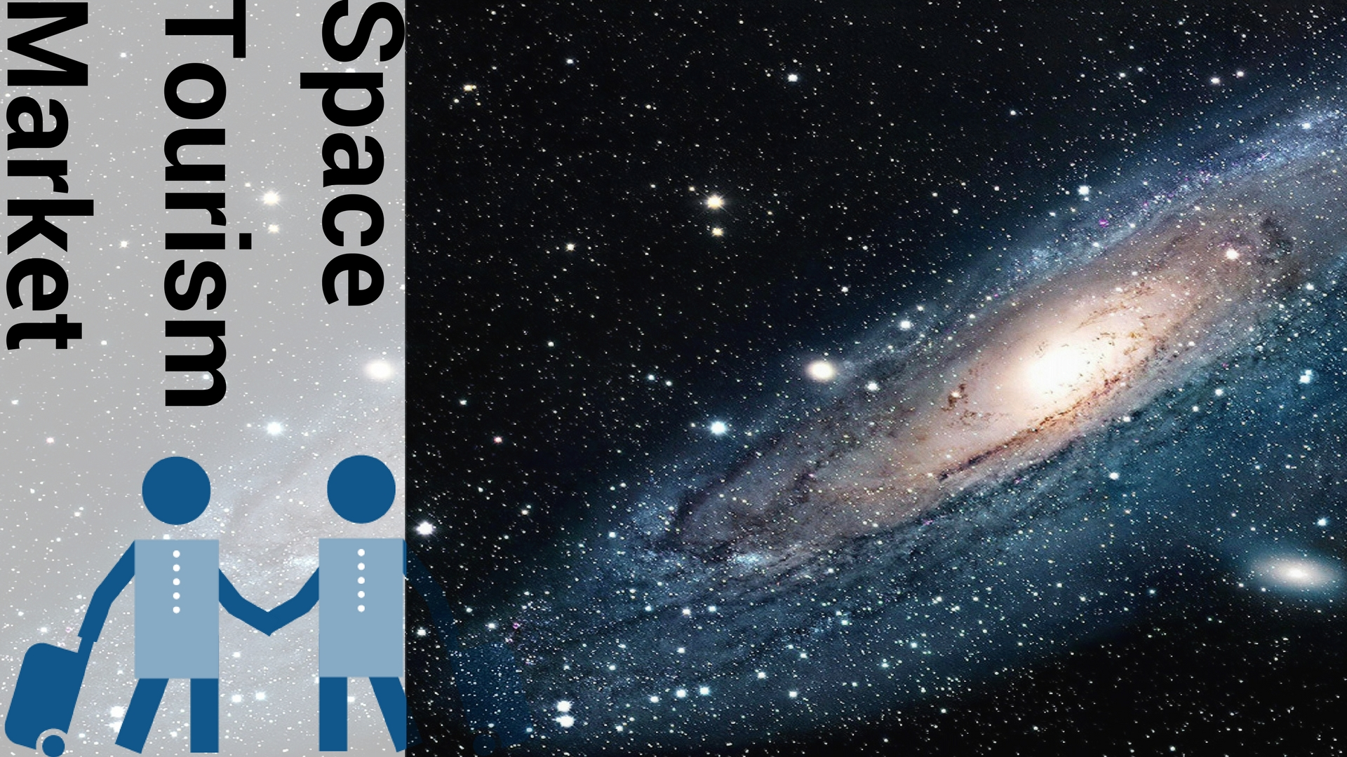 Space Tourism Market'