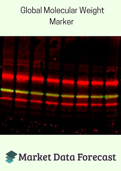 Molecular Weight Marker Market'