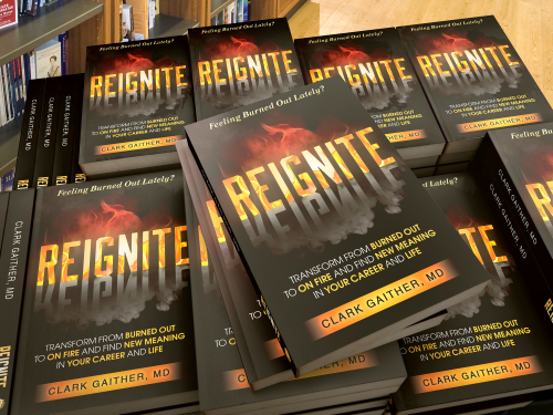 Reignite book front'