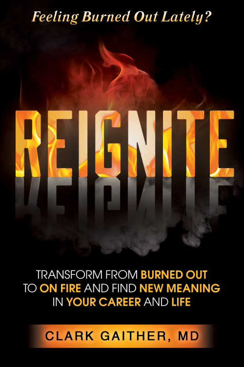 Reignite book cover'