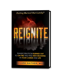 Reignite book cover 3D white background