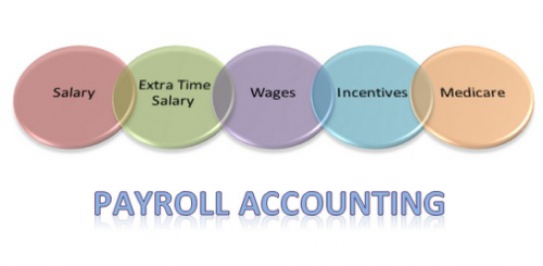 Payroll Accountants market  2018'