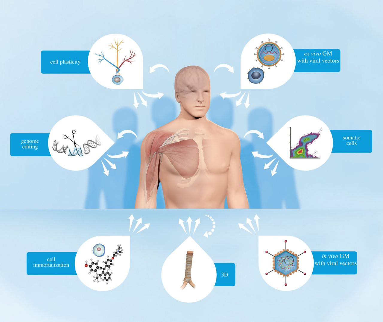 Energy-Based Therapeutics market