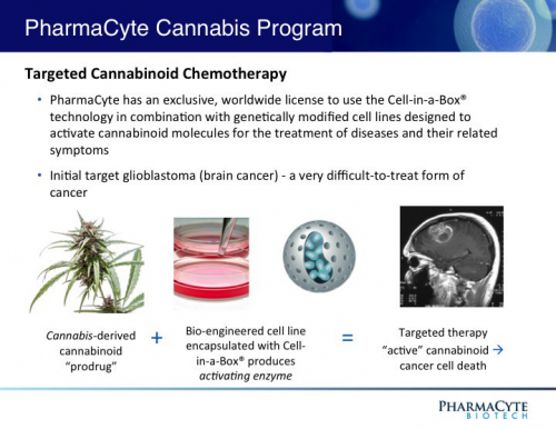 PharmaCyte&rsquo;s Cannabinoid Therapy'