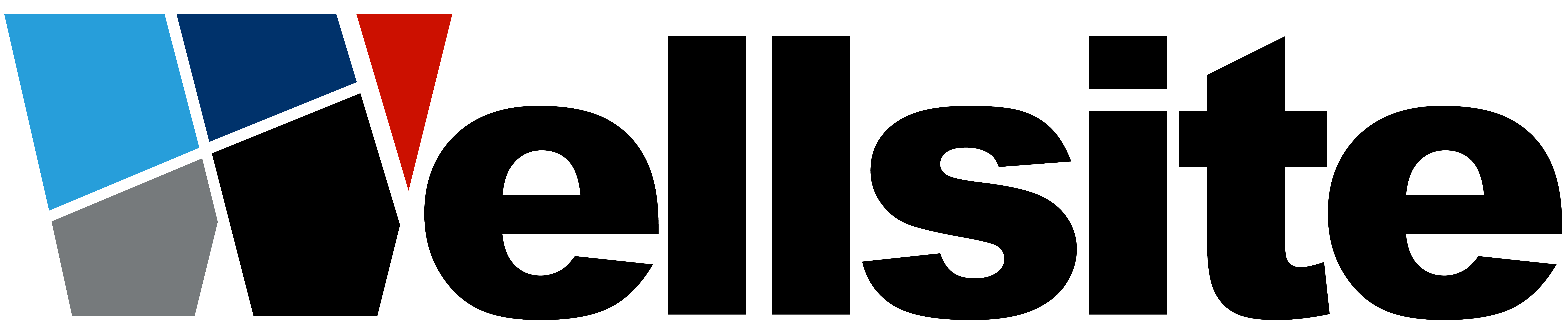 Wellsite Logo'
