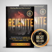 Reignite #1 book cover