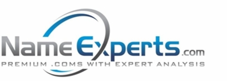Company Logo For Name Experts LLC.'