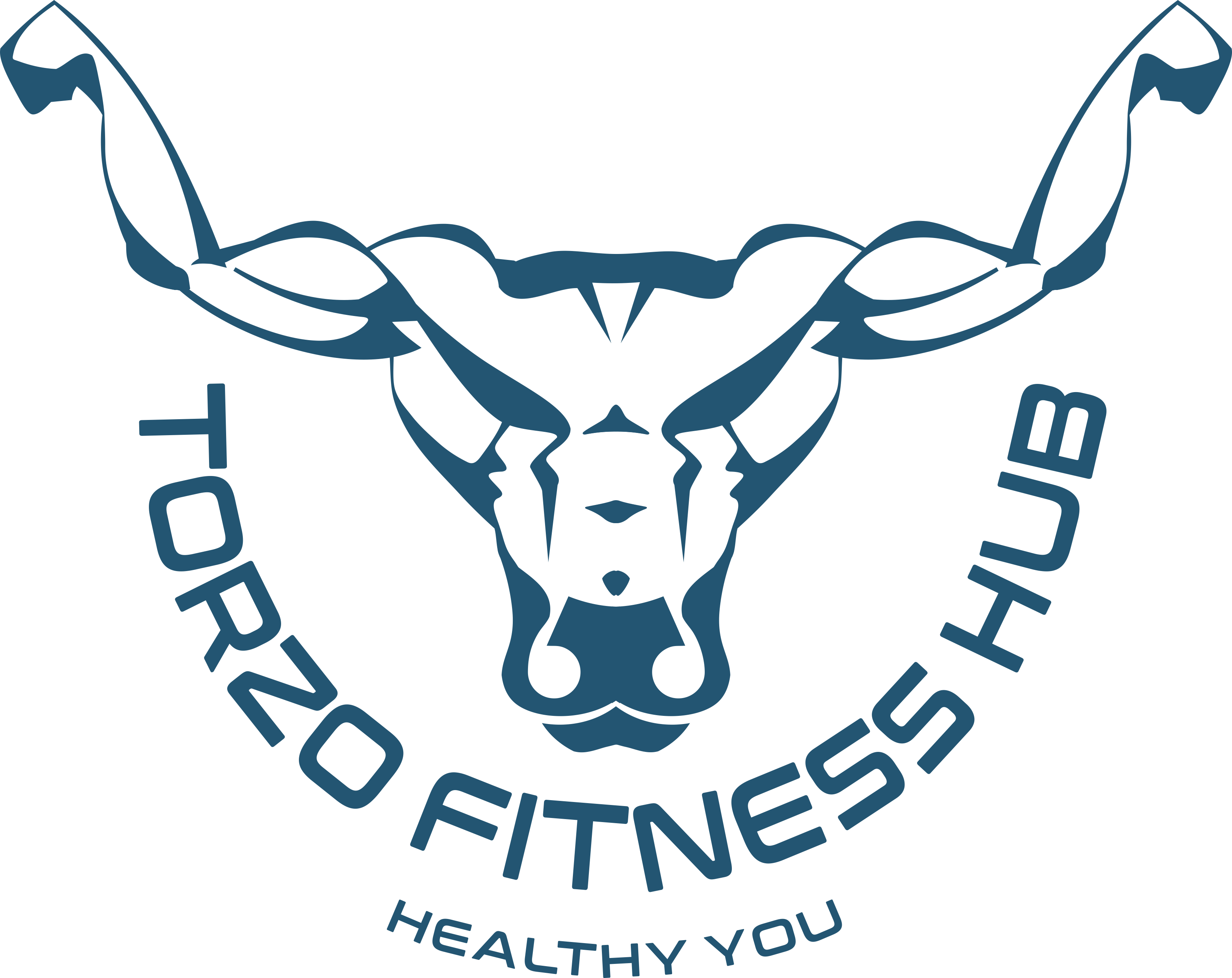 Company Logo For TORZO FITNESS HUB'