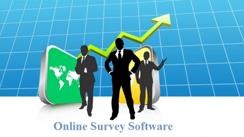 Online Survey Software market'
