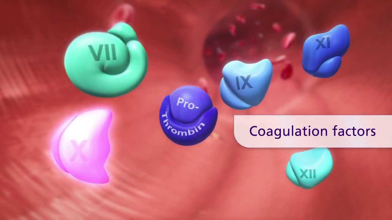 Blood Coagulation Factor market