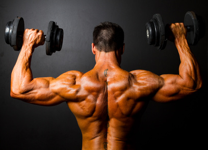 TheInsaneWorkout.net'