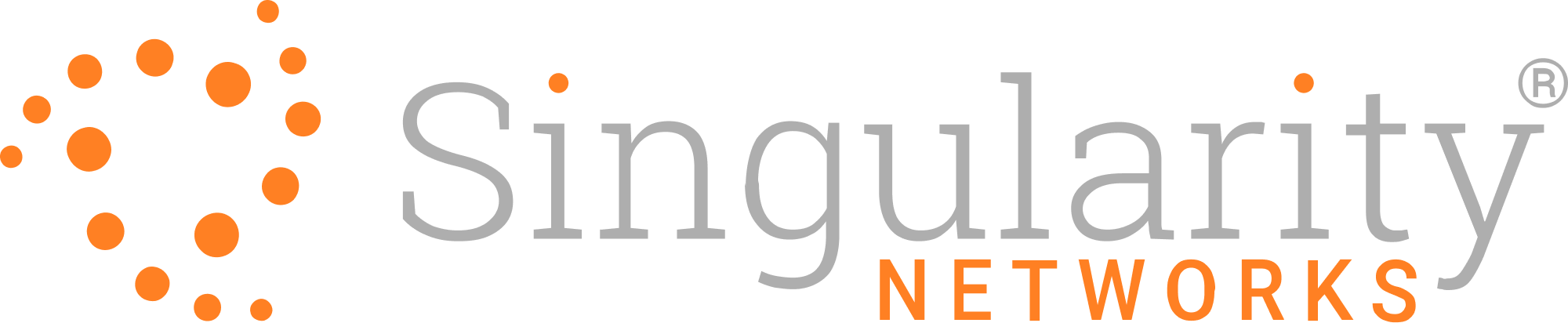 Singularity Networks Logo