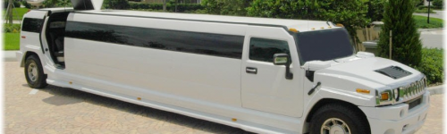 Executive limo service Orlando'