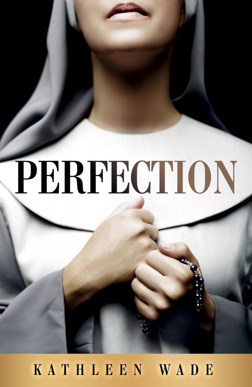 Perfection book cover'