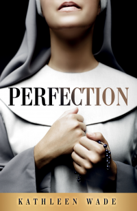 Perfection book cover