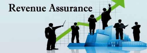 Revenue Assurance Services Market'
