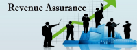 Revenue Assurance Services Market