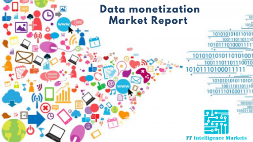 Data Monetization'
