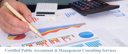 Certified Public Accountant &amp; Management Consulting'