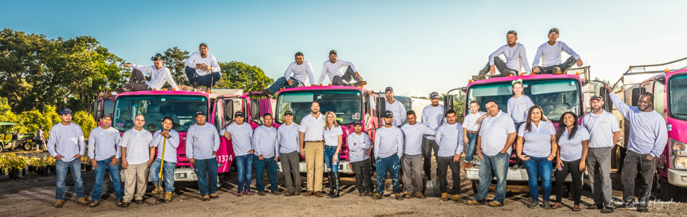 Pink and Green Lawn Care and Landscape