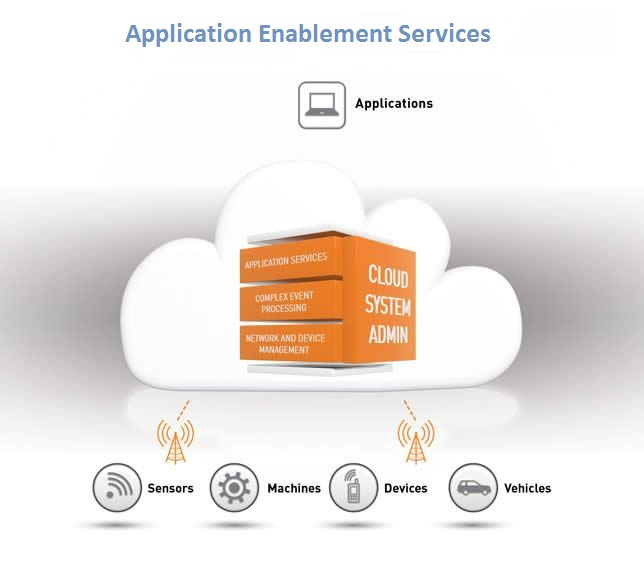 Application Enablement Services market'