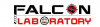 Company Logo For Falcon Laboratory'