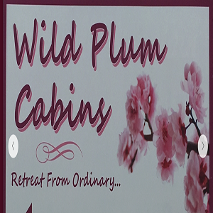 Company Logo For Wild Plum Log Cabins'