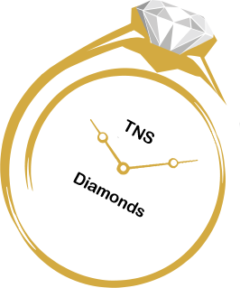 TNS Diamonds and Watches Logo
