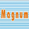 Company Logo For Magnum Telesystem'