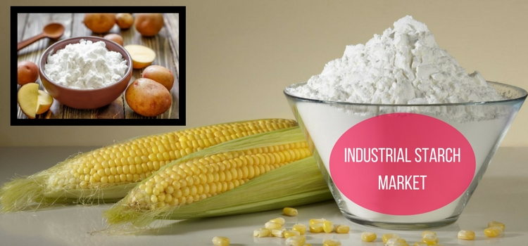 Global Industrial Starch Market'