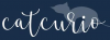 Company Logo For catcurio'